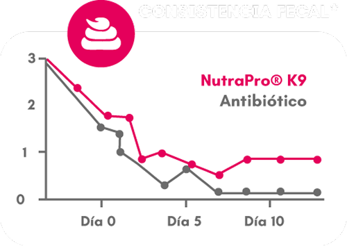 Consistencia Fecal